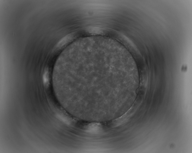 X0000101220124200807251120