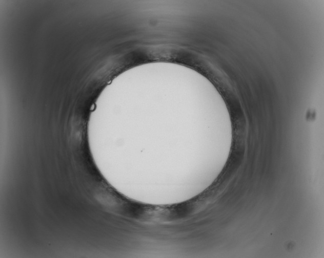 X0000101220125200807251120