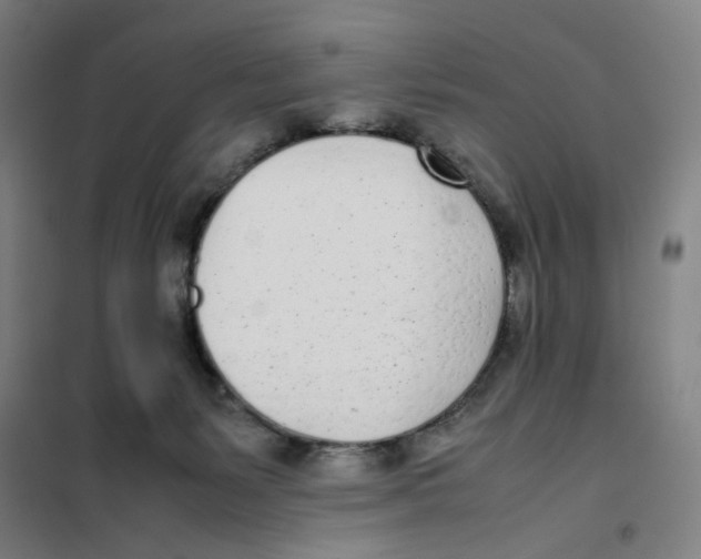 X0000101220127200807251120