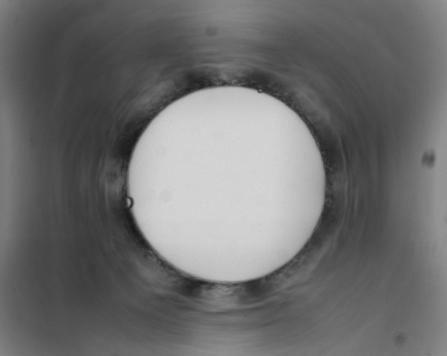 X0000101220129200807251120