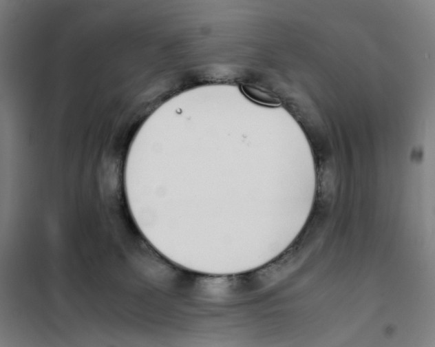 X0000101220131200807251120