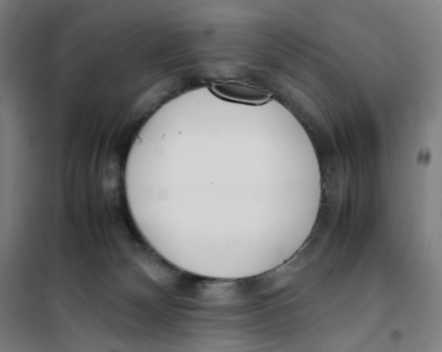 X0000101220132200807251120