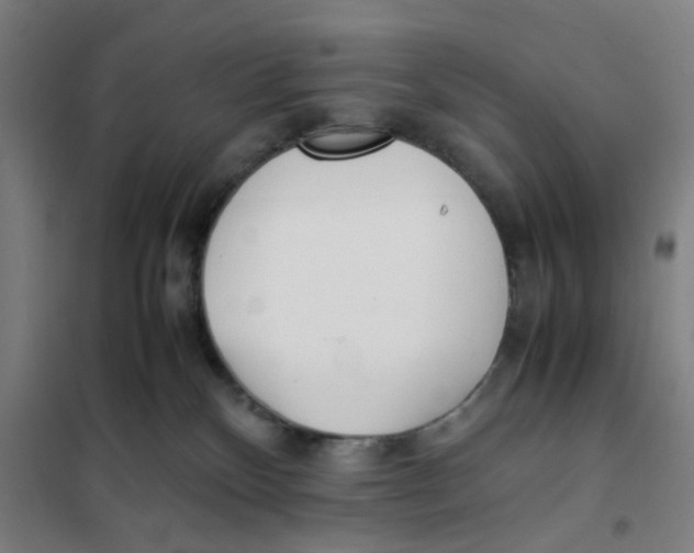 X0000101220136200807251120