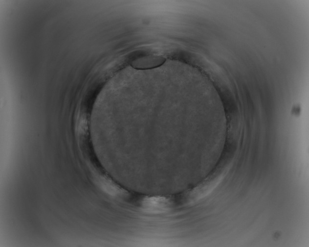 X0000101220137200807251120