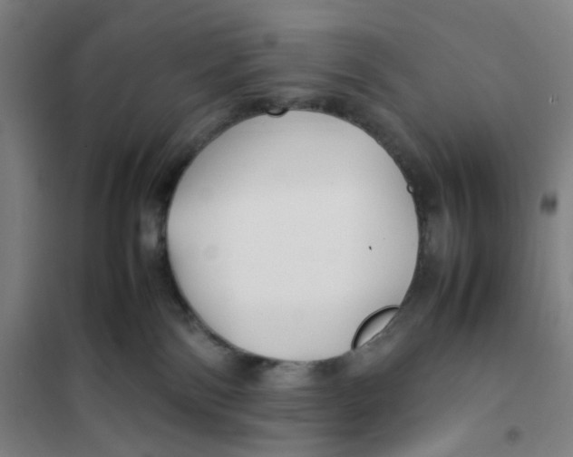 X0000101220138200807251120