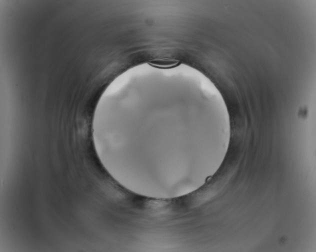 X0000101220139200807251120
