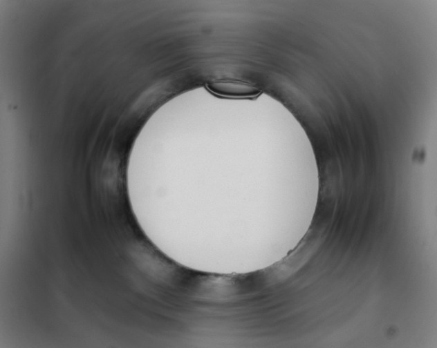 X0000101220140200807251120