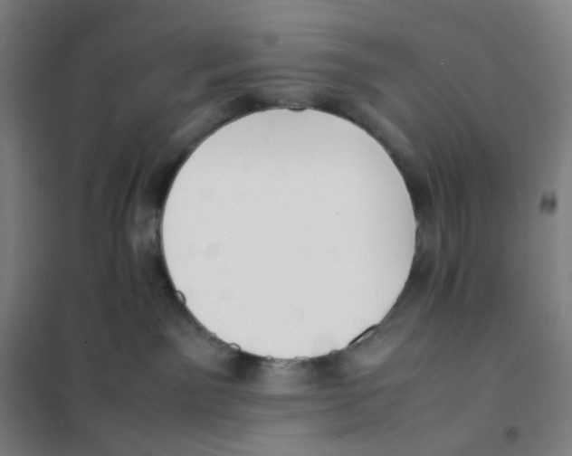 X0000101220141200807251120