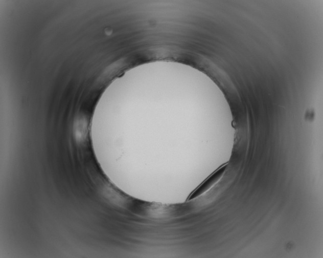 X0000101220142200807251120