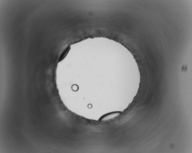 X0000101220144200807251120