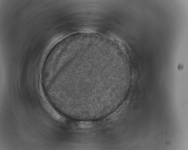 X0000101220145200807251119