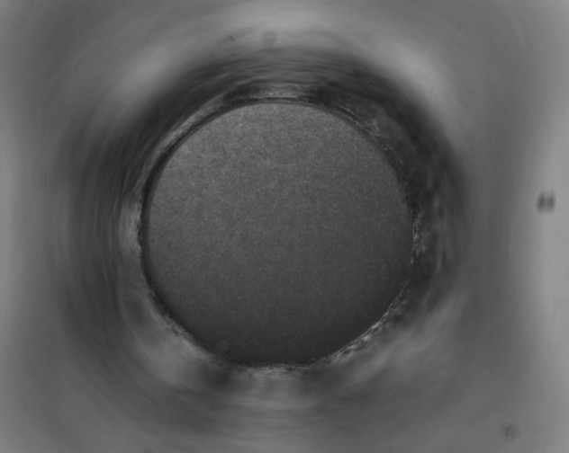 X0000101220146200807251119