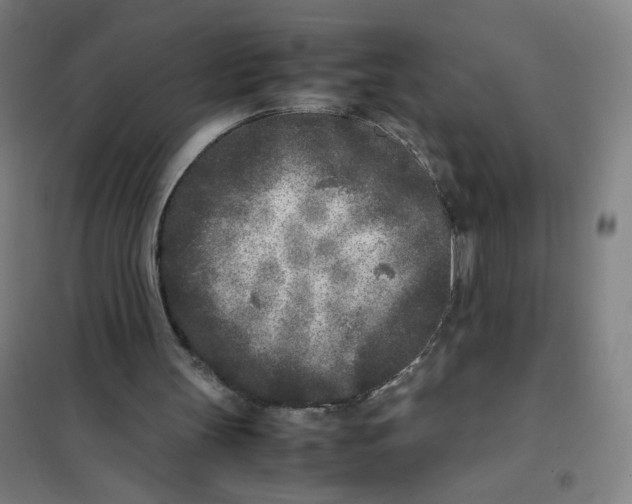 X0000101220147200807251119