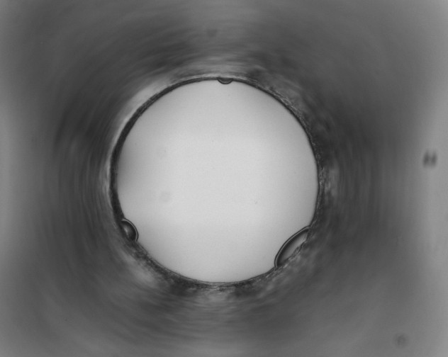 X0000101220148200807251119