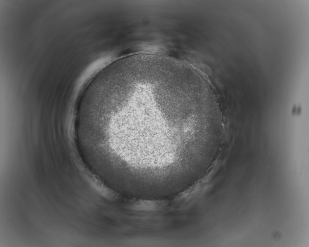 X0000101220149200807251119