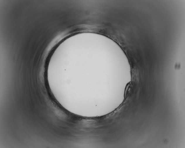 X0000101220150200807251119