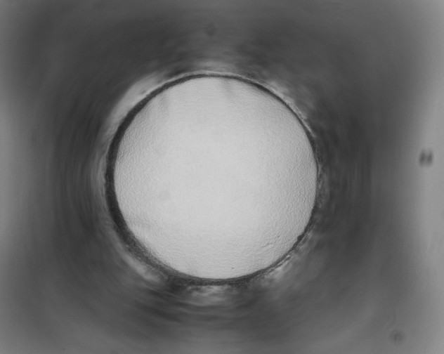 X0000101220151200807251119