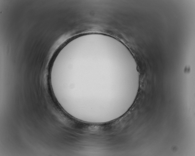 X0000101220152200807251119