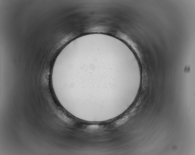 X0000101220153200807251119