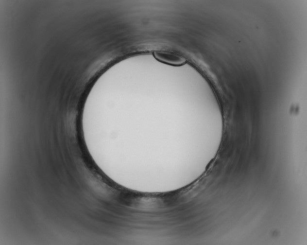 X0000101220154200807251119