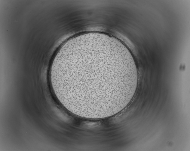 X0000101220155200807251119
