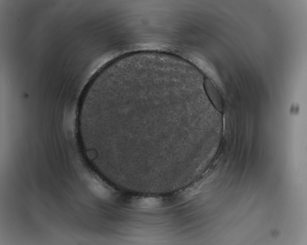 X0000101220156200807251119