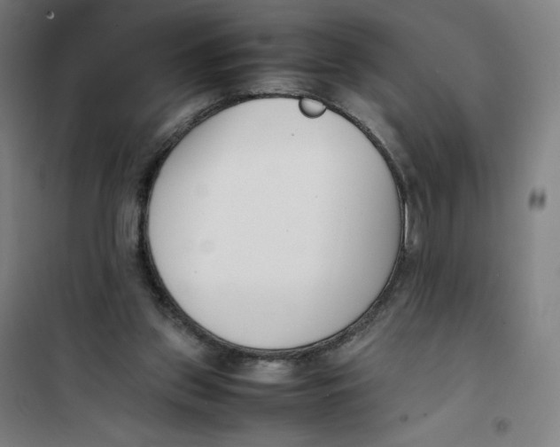 X0000101220157200807251119