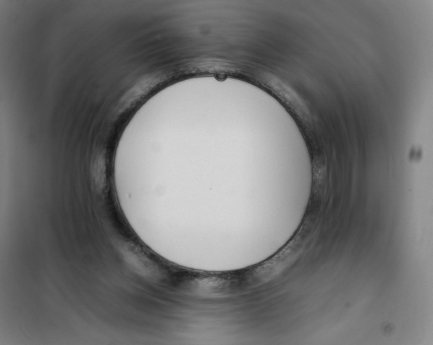 X0000101220158200807251119