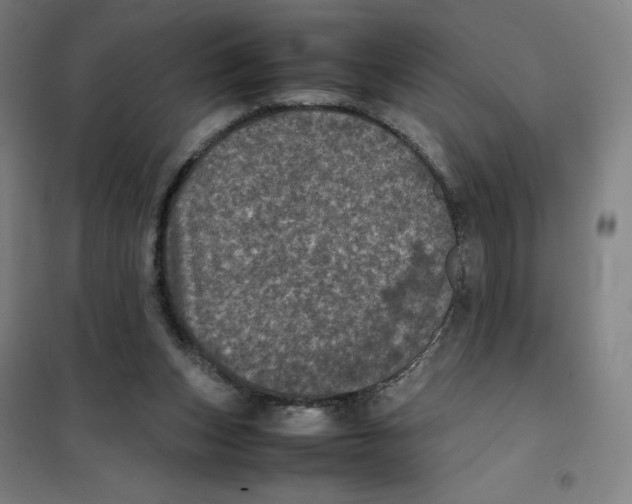 X0000101220159200807251119