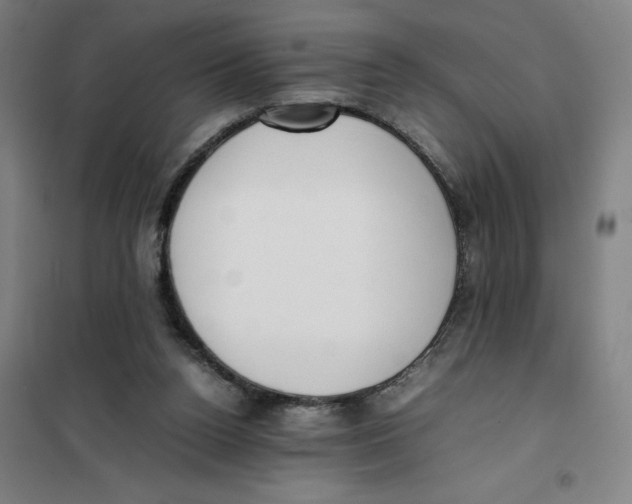 X0000101220160200807251119