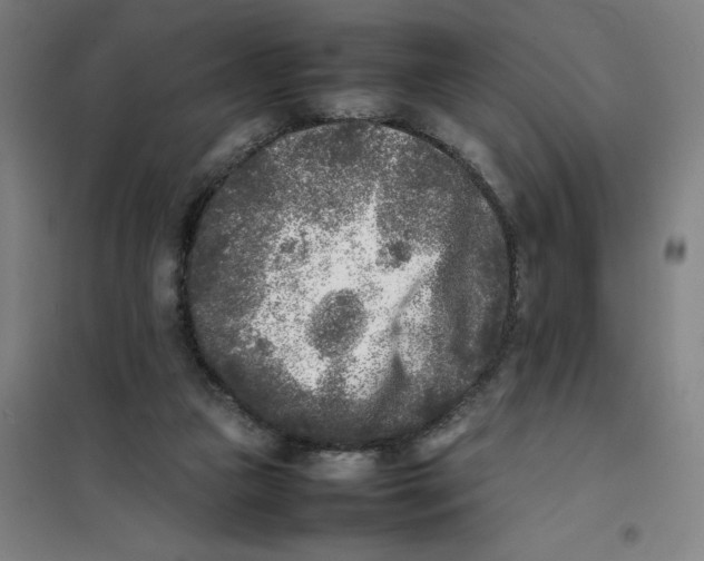 X0000101220161200807251119