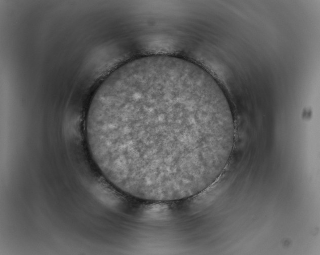 X0000101220162200807251119