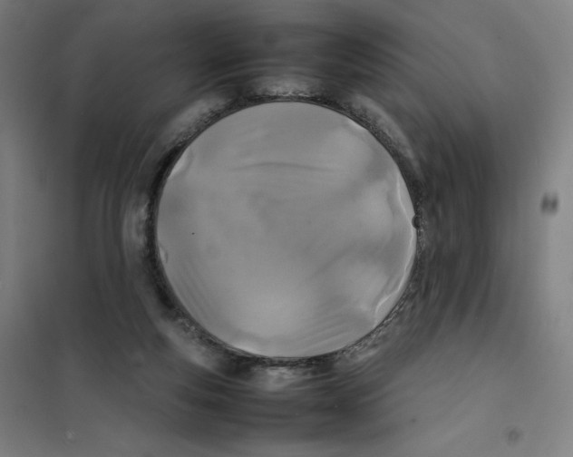 X0000101220163200807251119
