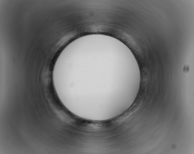 X0000101220164200807251119