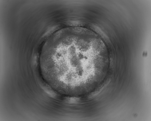 X0000101220165200807251119