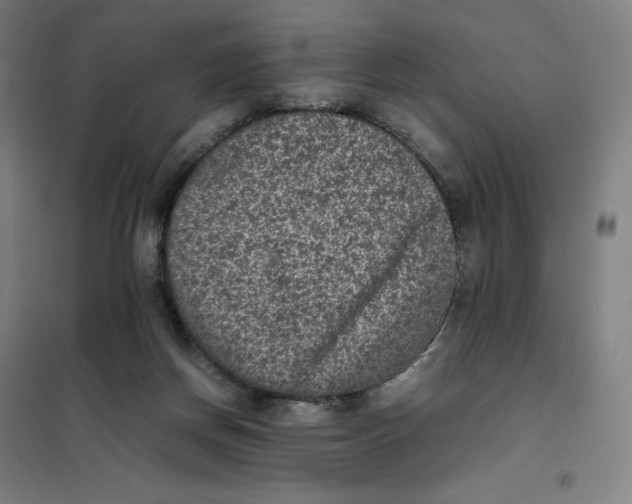X0000101220166200807251119