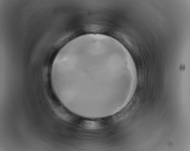 X0000101220167200807251119