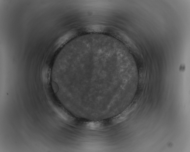X0000101220168200807251119