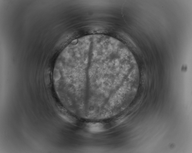 X0000101220169200807251119
