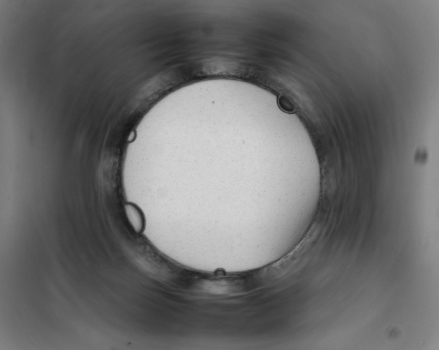 X0000101220171200807251119