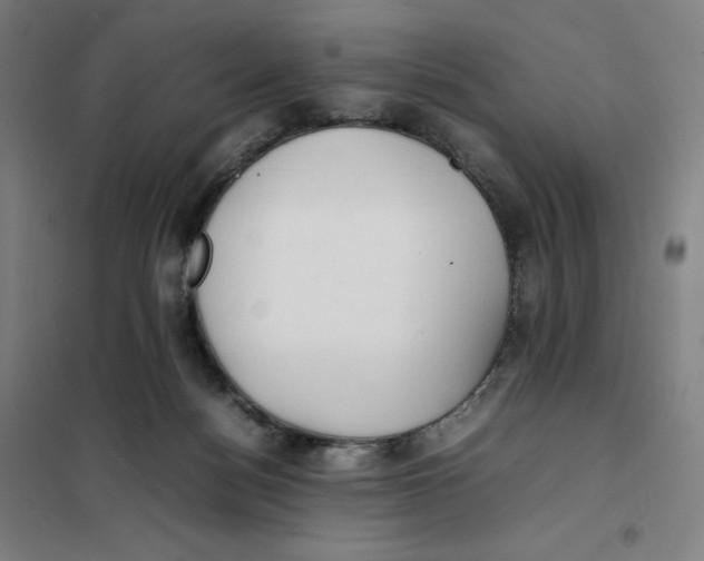 X0000101220172200807251119