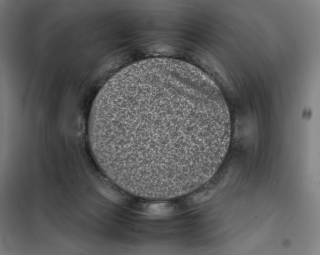X0000101220173200807251119