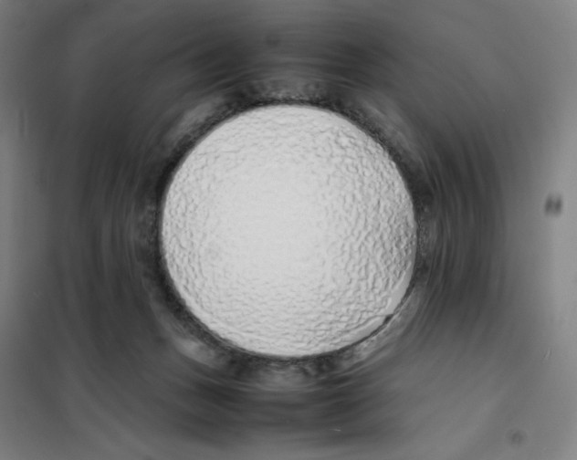 X0000101220175200807251119