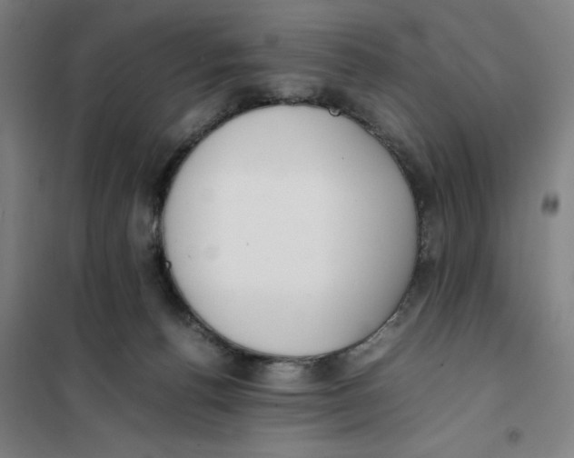 X0000101220176200807251120