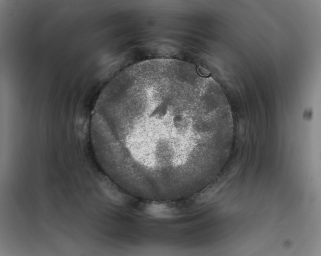 X0000101220177200807251120