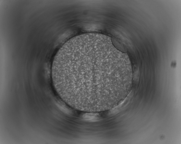 X0000101220179200807251120