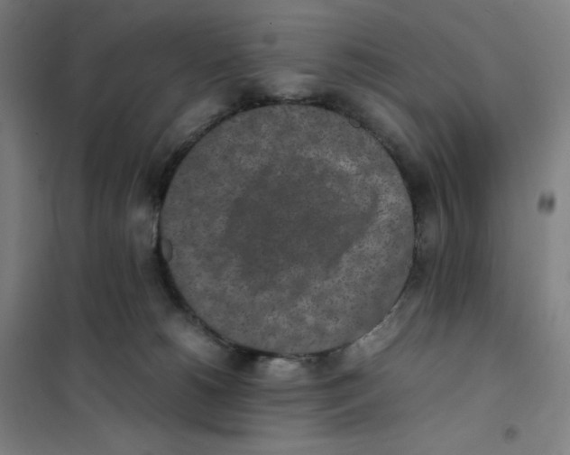 X0000101220180200807251120