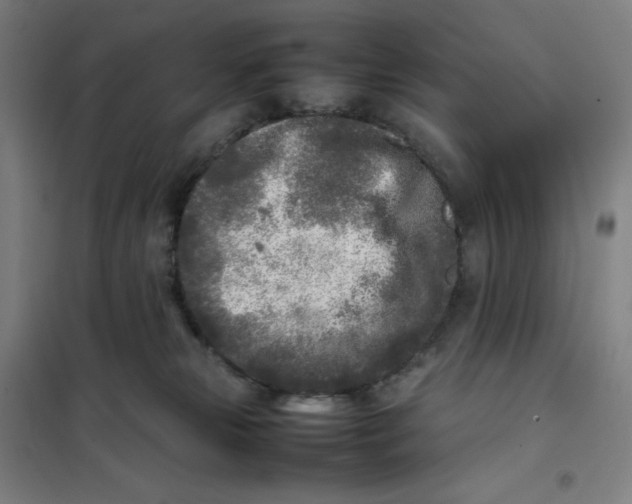 X0000101220181200807251120