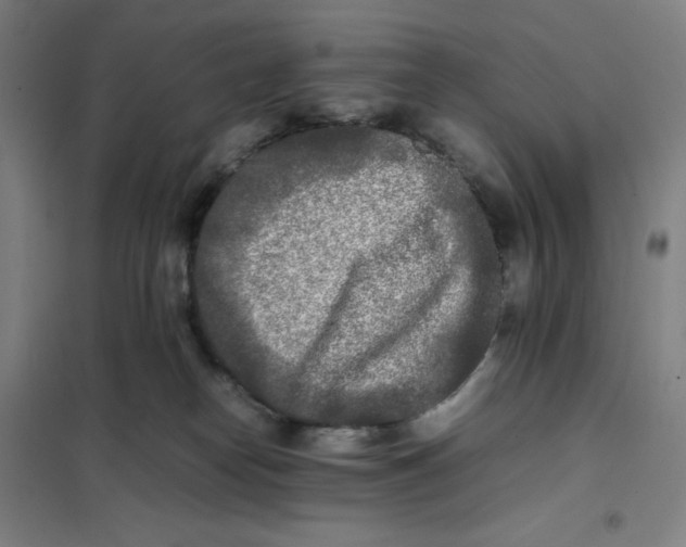 X0000101220182200807251120