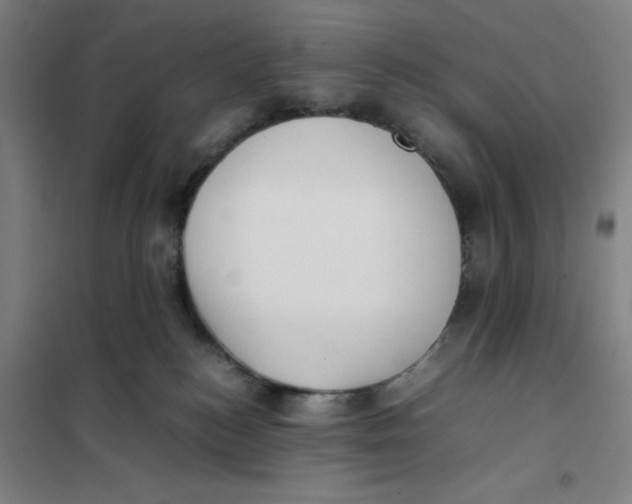 X0000101220184200807251120